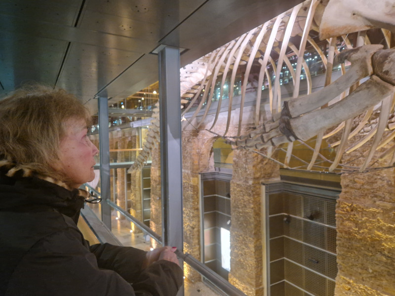 La grande galerie de l'évolution