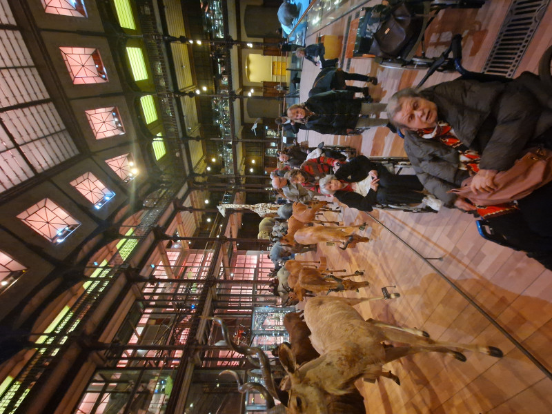 La grande galerie de l'évolution