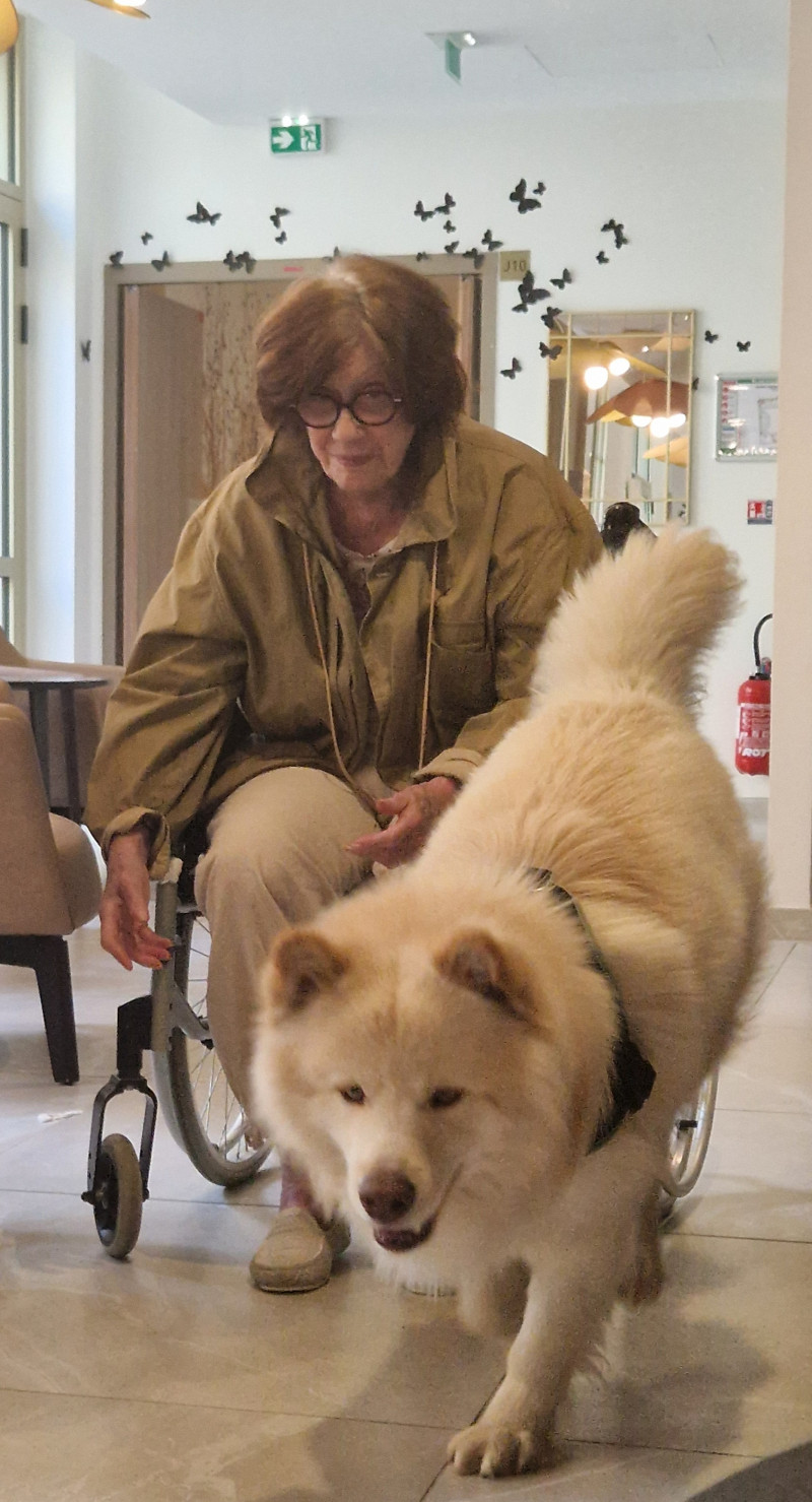 résidence médicalisée SEDNA France