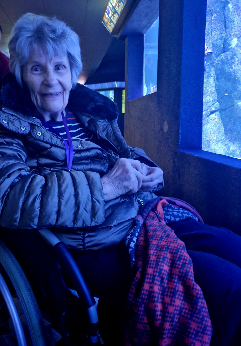 Sortie à l'aquarium