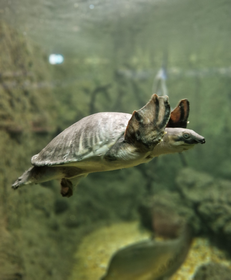 Sortie à l'aquarium